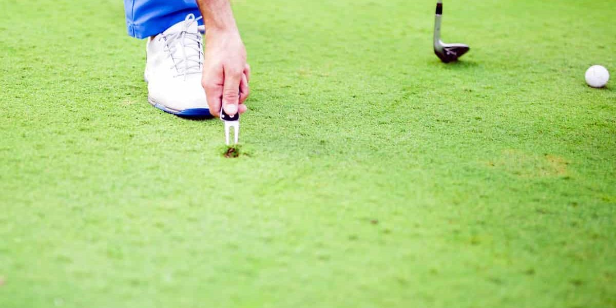 Repair Your Divots on the Golf Course