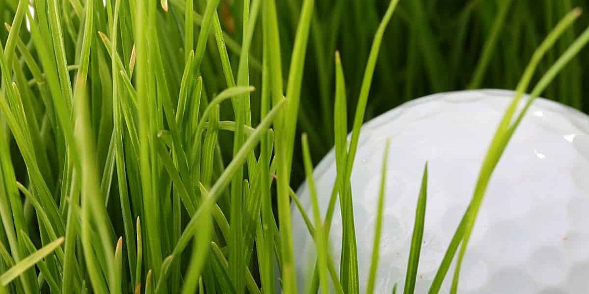 Choosing Golf Tees