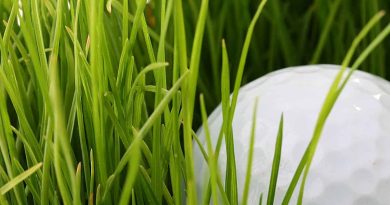 Choosing Golf Tees